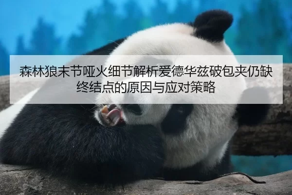 森林狼末节哑火细节解析爱德华兹破包夹仍缺终结点的原因与应对策略 | bsport