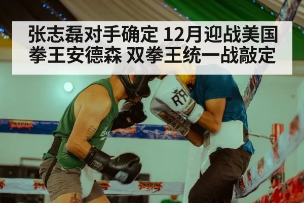 张志磊对手确定 12月迎战美国拳王安德森 双拳王统一战敲定 | bsport